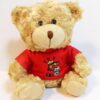 Teddy bear