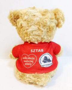 Teddy bear