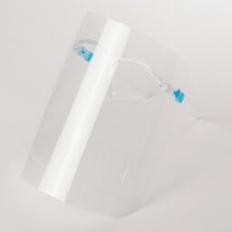 Face shield