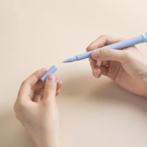 Fancy cactus pen