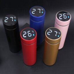 LED temperature display flask