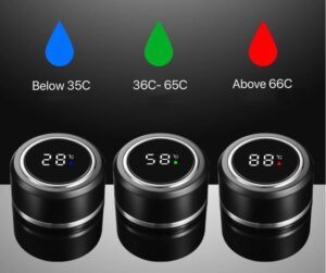 LED temperature display flask