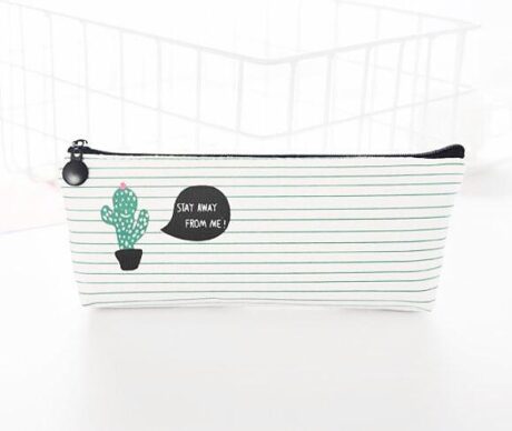 Pencil case cactus