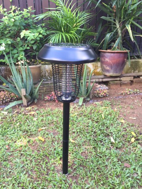 Solar mosquito killer lamp