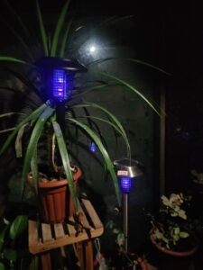 Solar mosquito killer lamp