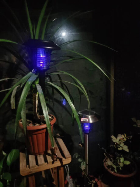 Solar mosquito killer lamp