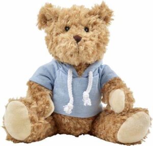 Teddy bear