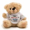 Teddy bear