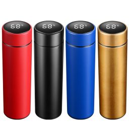Temperature display thermal flask