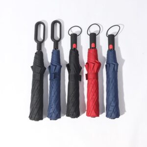 Umbrella with carabiner handle